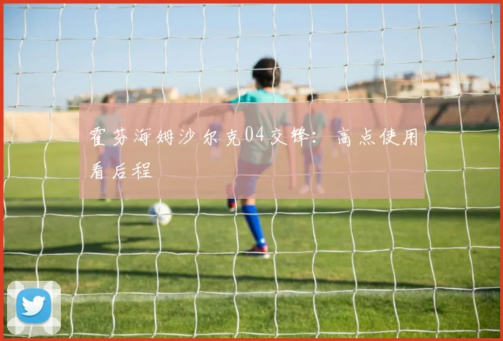 霍芬海姆沙尔克04交锋：高点使用看后程