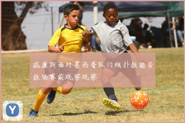 威廉斯面对墨西哥队门线扑救能否救场赛前观察观察