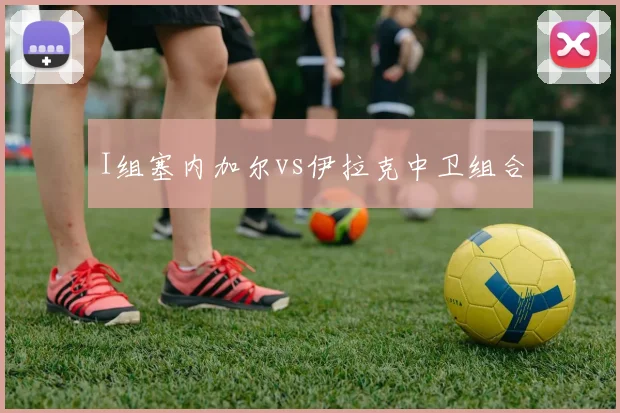 I组塞内加尔vs伊拉克中卫组合