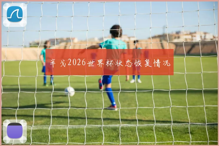 辛戈2026世界杯状态恢复情况