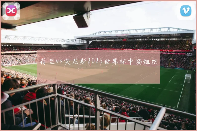 荷兰vs突尼斯2026世界杯中场组织