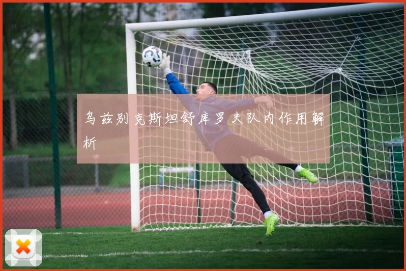 乌兹别克斯坦舒库罗夫队内作用解析